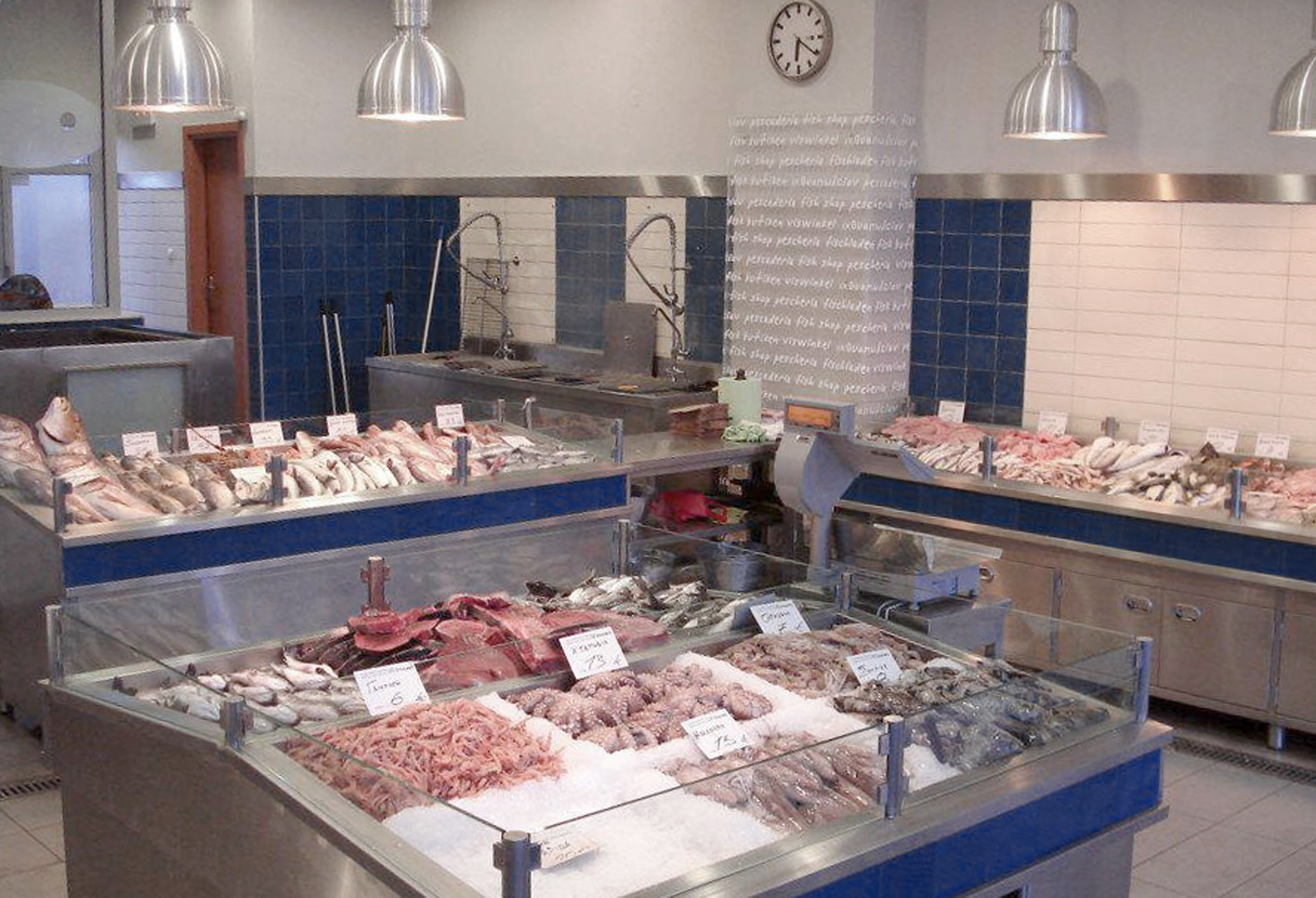 Fish store interiors
